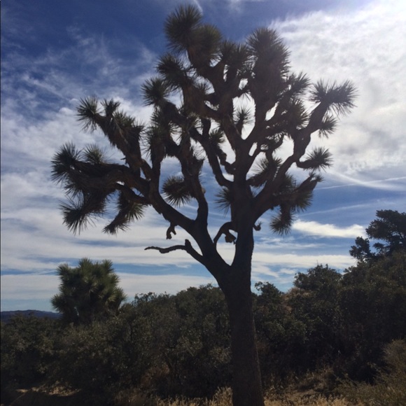 Meet your Posher, Vida - Picture 7 of 14